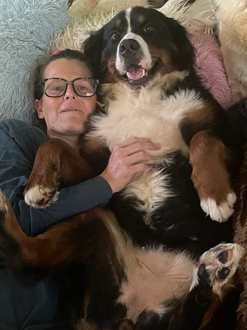 Allevamento Santi Del Bosco | Home Allevamento Santi Del Bosco | Home