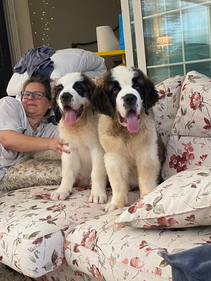 Allevamento Santi Del Bosco | Home Allevamento Santi Del Bosco | Home